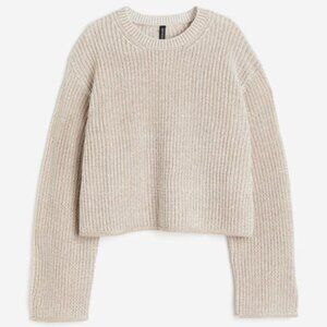 NWT H&M womens cropped oversized crewneck sweater